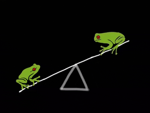 see saw